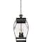 Quoizel Oasis Outdoor Hanging Lantern OAS1909Z - alternate 5